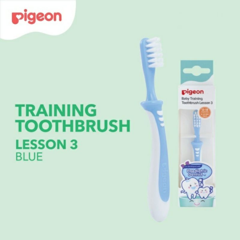Pigeon Training Toothbrush Lesson 3
