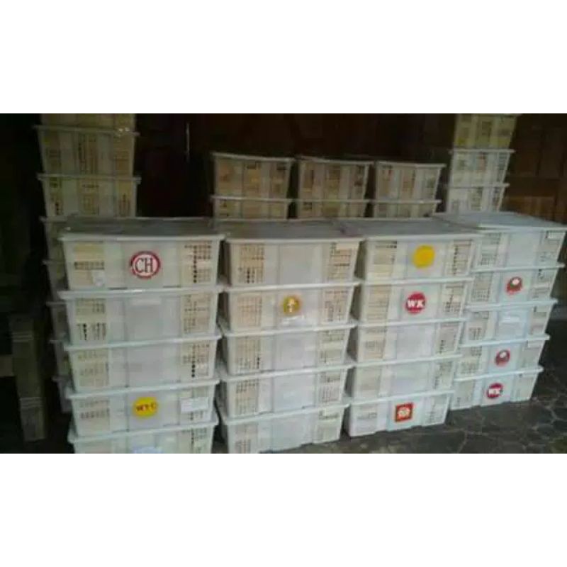 BALOK PDK ISI 100