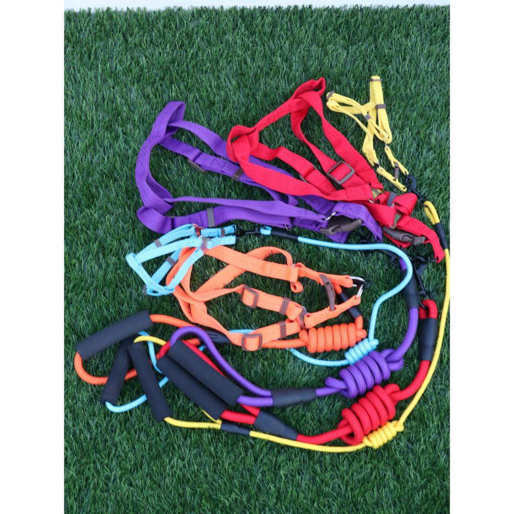 PET TREE • Harness anjing kucing