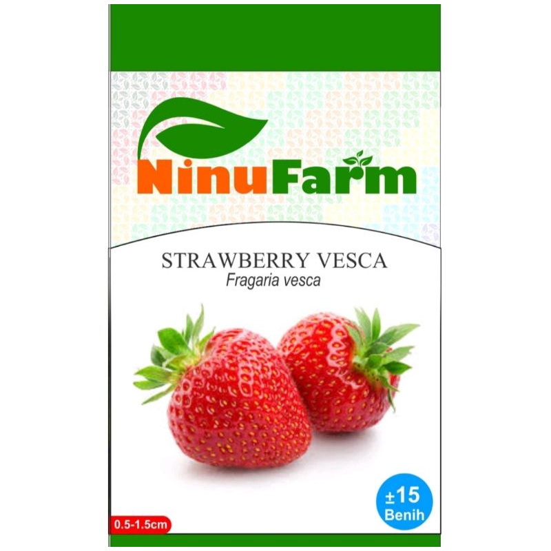 Benih Strawberry 15Seeds