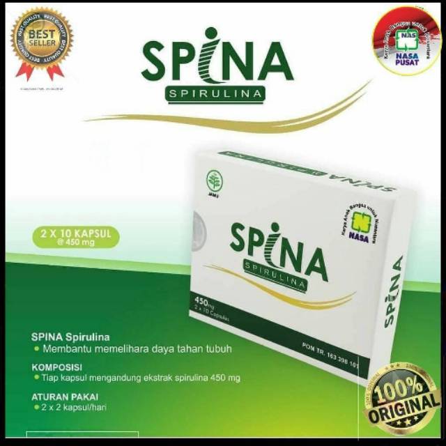 Spina nasa