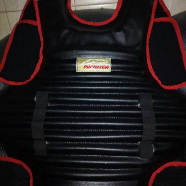 Body Protector