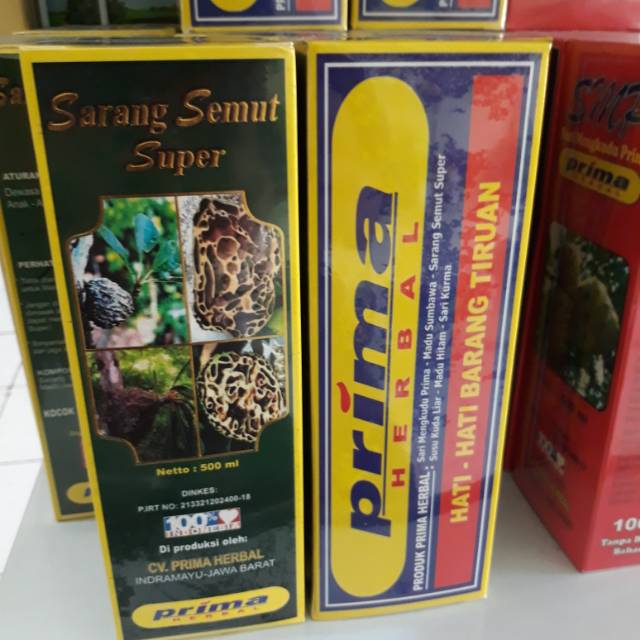 Sarang semut prima