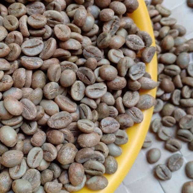 ✴ Green Bean Fine Robusta Temanggung ☄