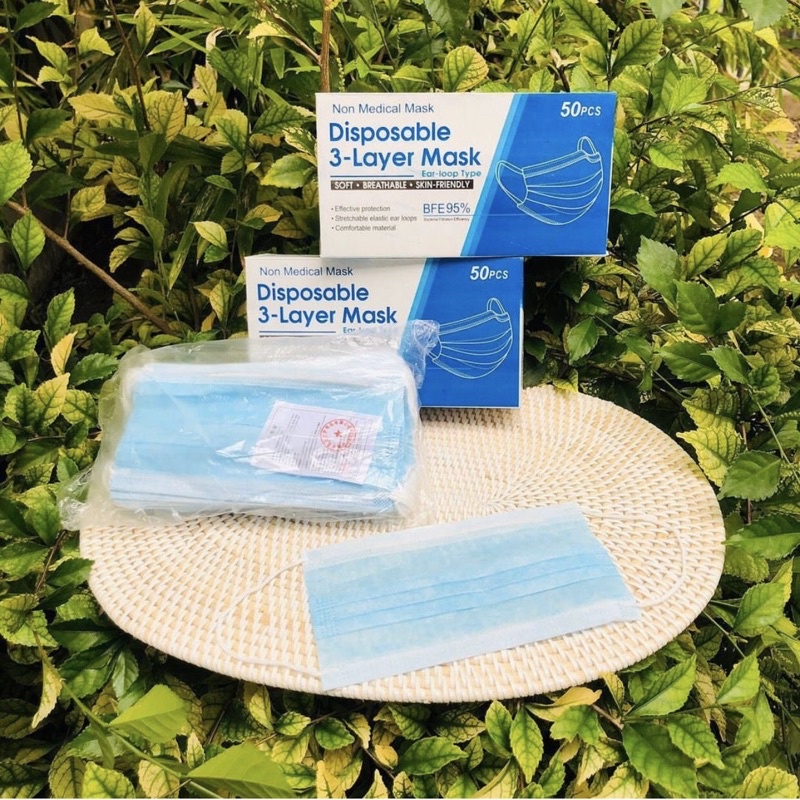 MASKER DISPOSABLE/EARLOOP