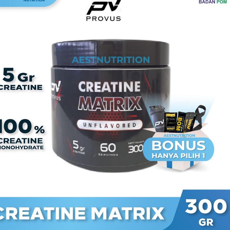 ♘ Provus Creatine Matrix 300 gr Creatine Monohydrate ❇