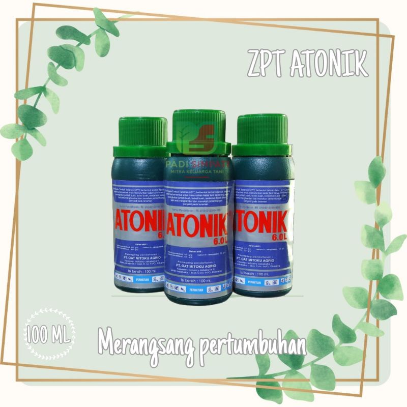ZPT ATONIK 100ml
