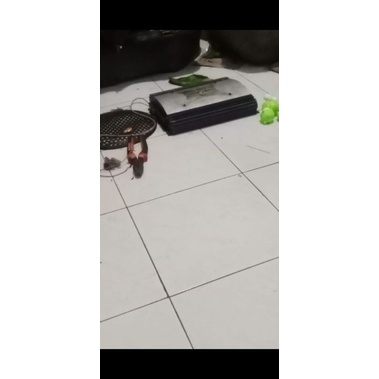 seprpat mobil