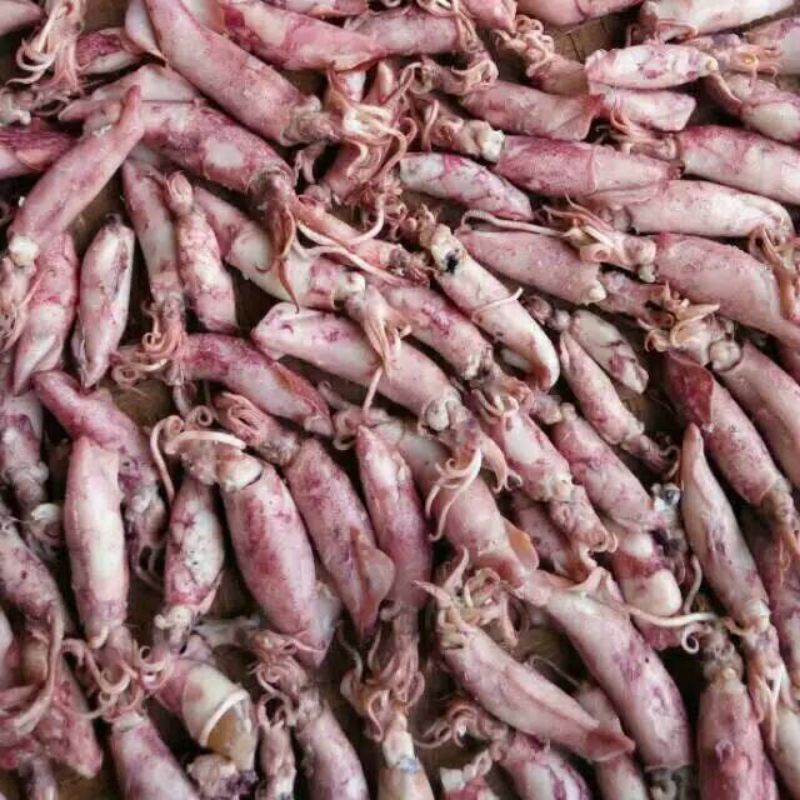 sambal cumi