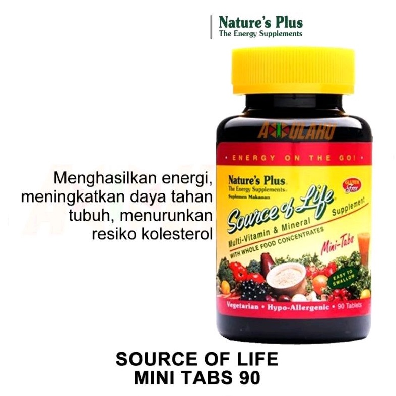 Natures Plus Sol Mini Tbas (90)