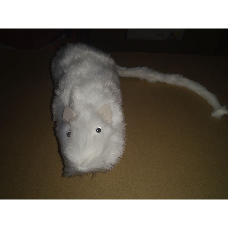boneka pesulap tikus/boneka jari