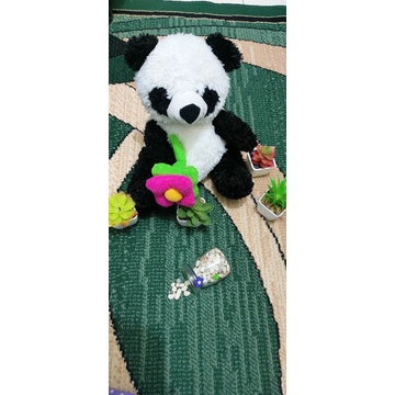 Boneka lucu dan murah