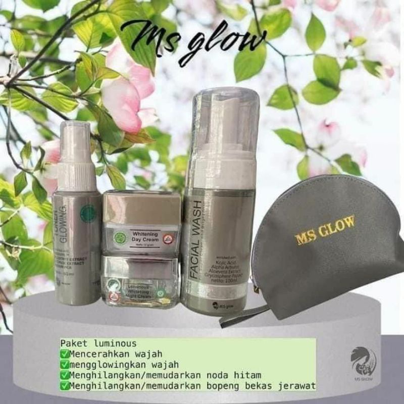 Ms Glow paket wajah