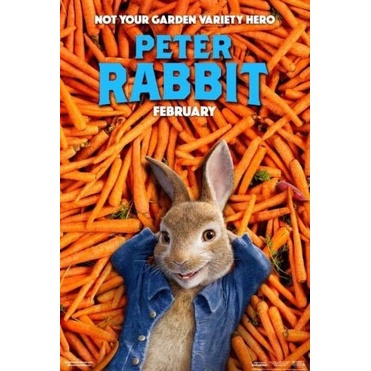 DVD Kaset Peter Rabbit (2018)