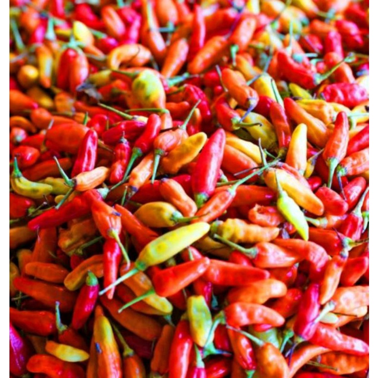 CABE RAWIT 1kg ORIGINAL SUPER
