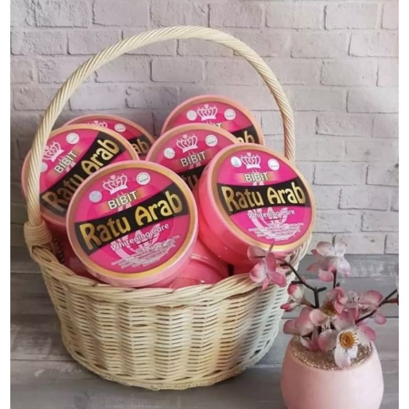 BIBIT RATU ARAB ORIGINAL