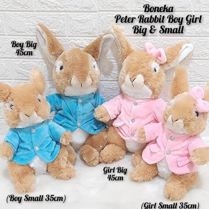 Boneka Peter Rabbit Boy Girl / Big & Small
