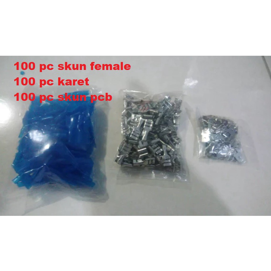 READY!. skun pcb 100 SET