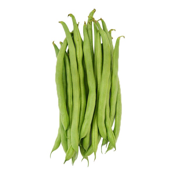 BUNCIS TW 250-280 GR