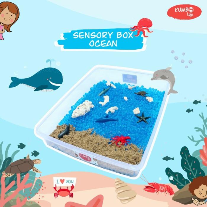 Terlaris Ocean Sensory Box Set
