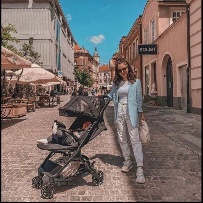 Easywalker Mini Buggy Snap Stroller Cabin Size Autofold