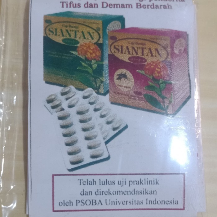 Bunga siantan Hijau Obat Typus