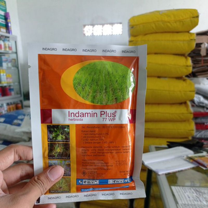 Herbisida Indamin Plus 77WP 40 gram