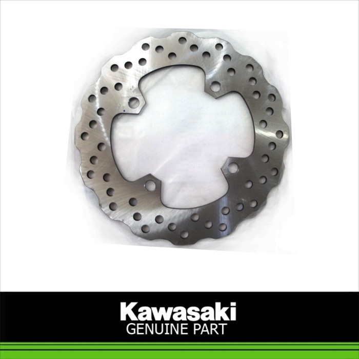 Disc Rr (41080-0122)