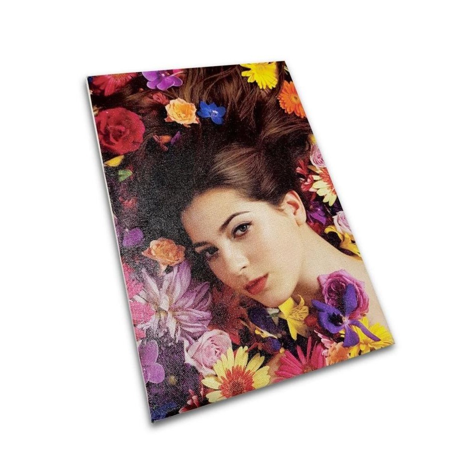 Print kanvas + spanram 60x110