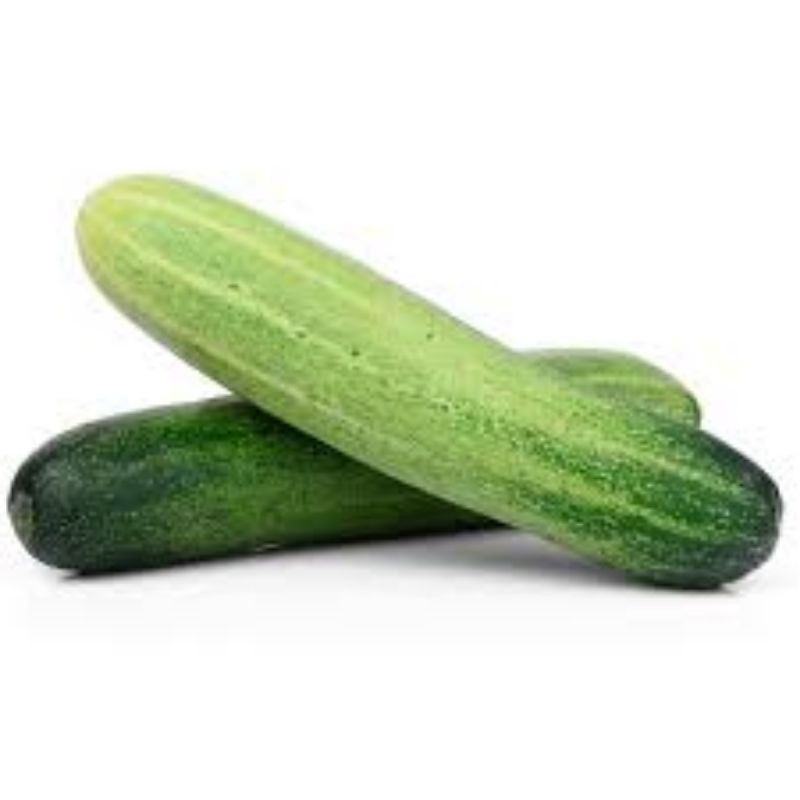 TIMUN