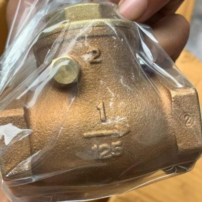 check Valve 1 inch kitz original