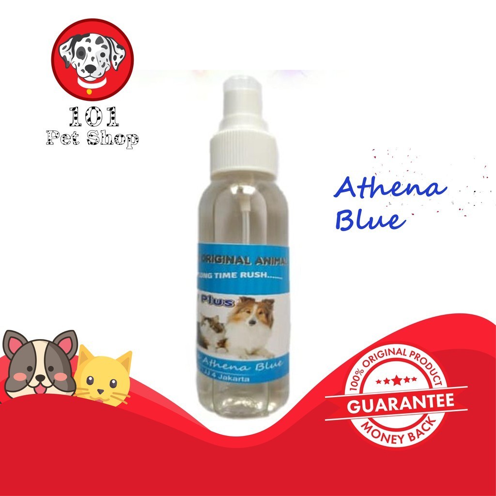 PARFUM KUCING KITTY PLUS ATHENA BLUE 120ML
