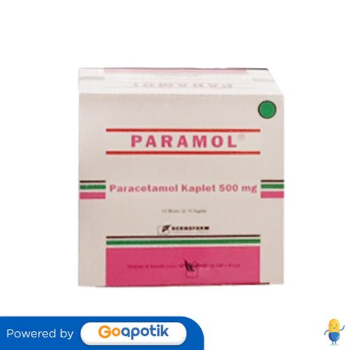 Paramol 500 Mg Box 100 Kaplet