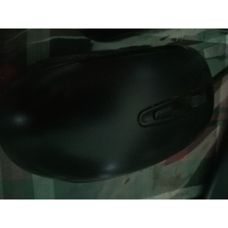 mouse