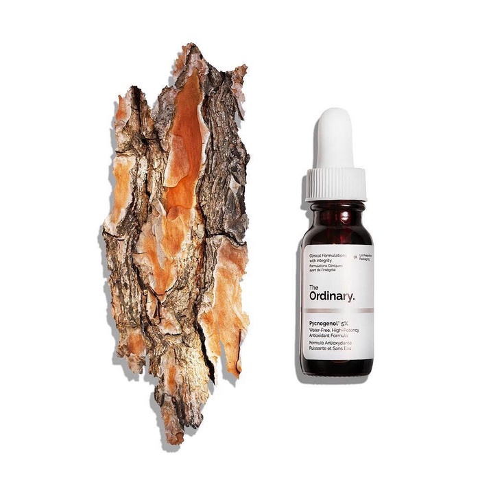 THE ORDINARY Pycnogenol 5% ( 15ml )