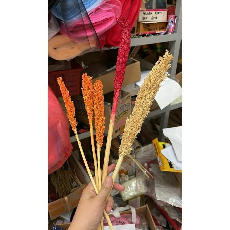 BUNGA CANTEL BUNGA DEKORASI RUSTIC