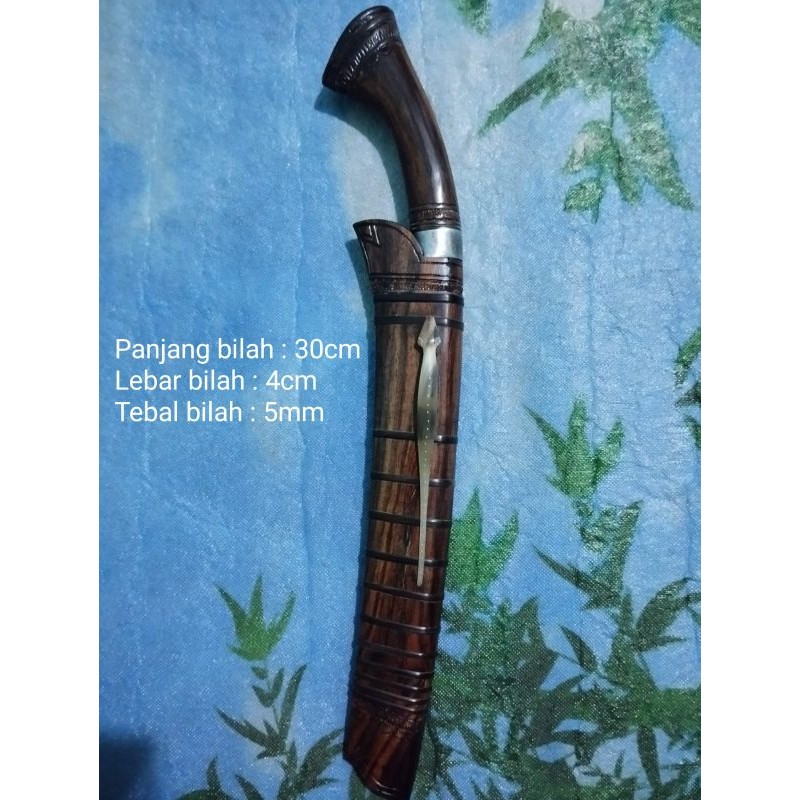 Golteb Sumateraan