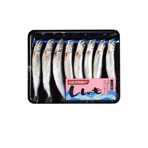 SHISAMO 150 - 170 GR