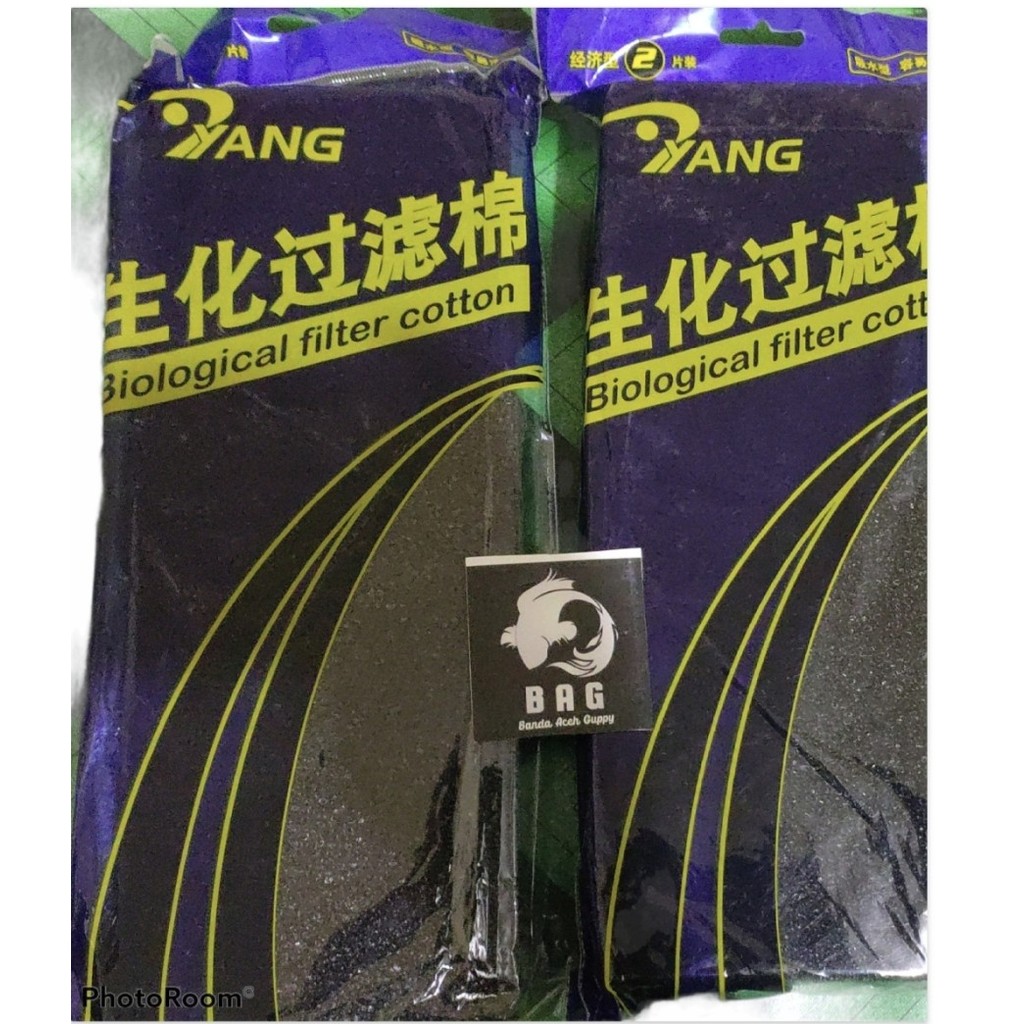 Busa biological filter YANG