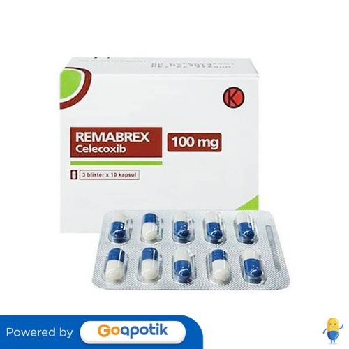 REMABREX 100 MG BOX 30 KAPSUL