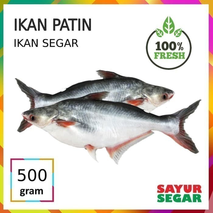 Ikan Patin [500G]