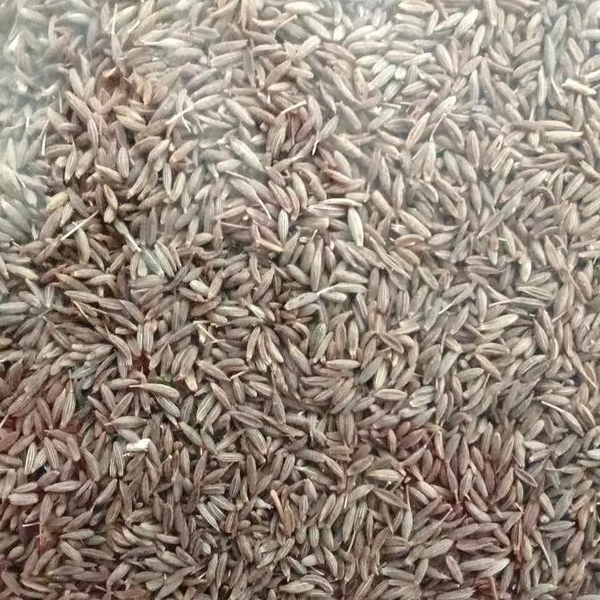:<:<:<:<] Jintan halus 250gr