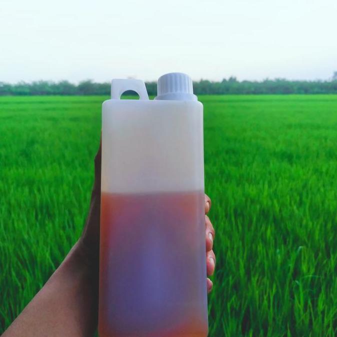 madu multiflora 1 kg