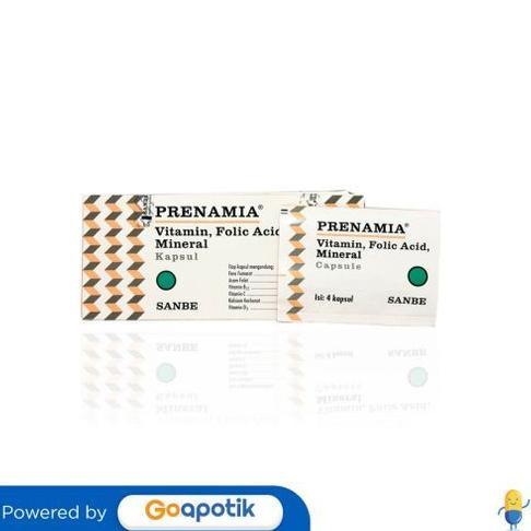 Prenamia Box Isi 100 Kapsul Original