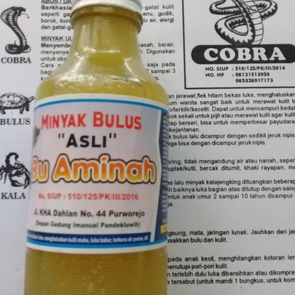 Minyak Bulus