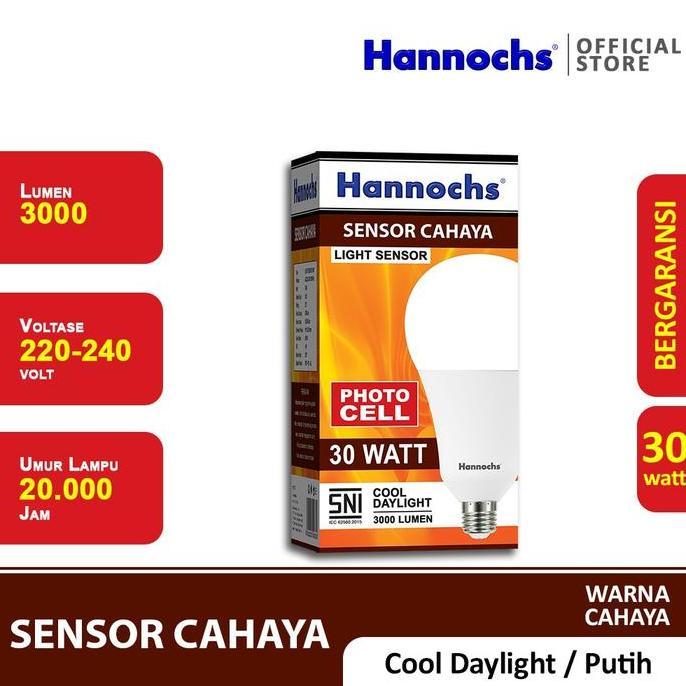 Lampu LED Hannochs Light Sensor 30W