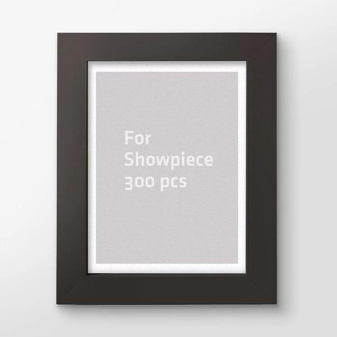 [YL] Pintoo Showpiece Frame 300