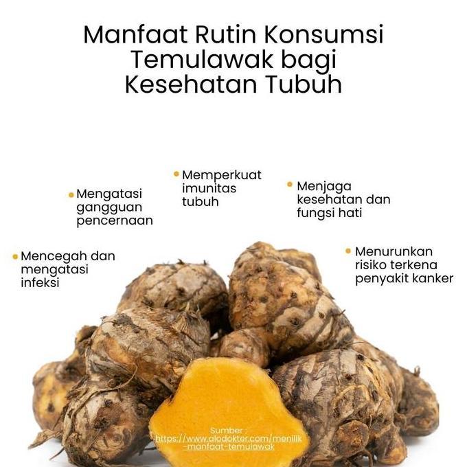 Kenk- Herbilogy Java Turmeric (Temulawak) Extract Powder 100G