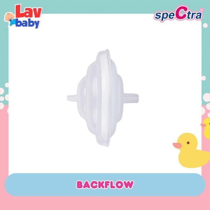 Fmlyroom- Spectra Backflow Back Flow