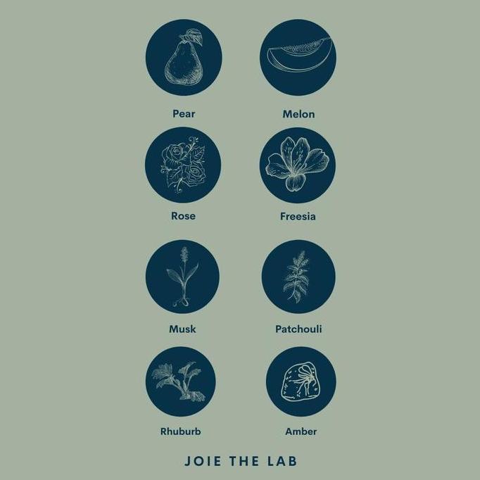 JOIE THE LAB - MEMOIR